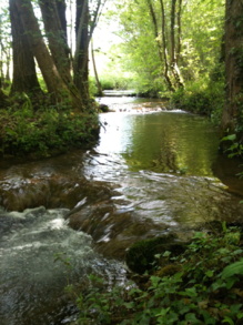 Interventions sur les cours d'eau