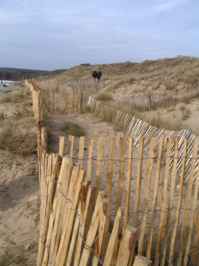 Ganivelles avec disposition en "caisson" Ganivelles avec disposition en "caisson"