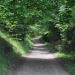 Paysage