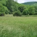 Paysage