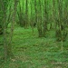 Paysage