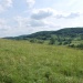 Paysage