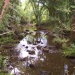 Rivière