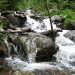 Torrent