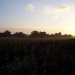 Paysage