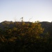 Paysage