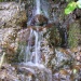 Source