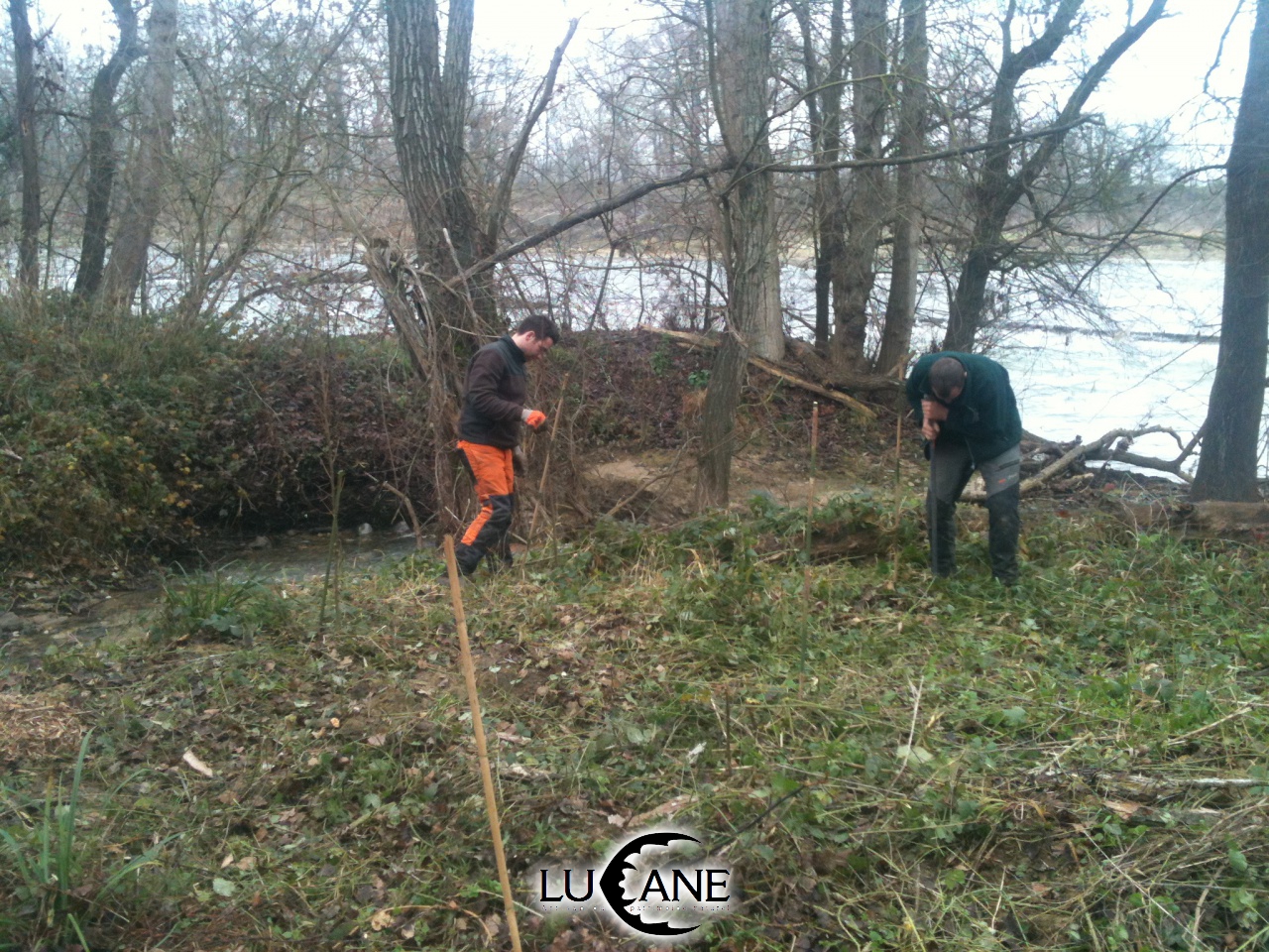Protection des berges des Ramiers - SICOVAL (31)